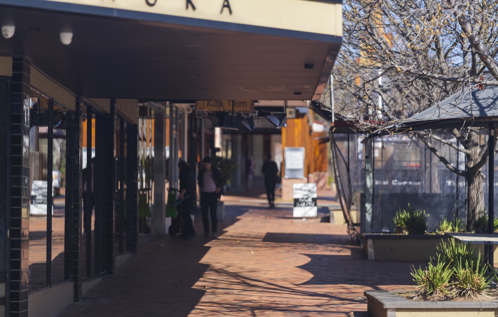A Canberra shopping strip in winter sun — the local practices Siggy is built for